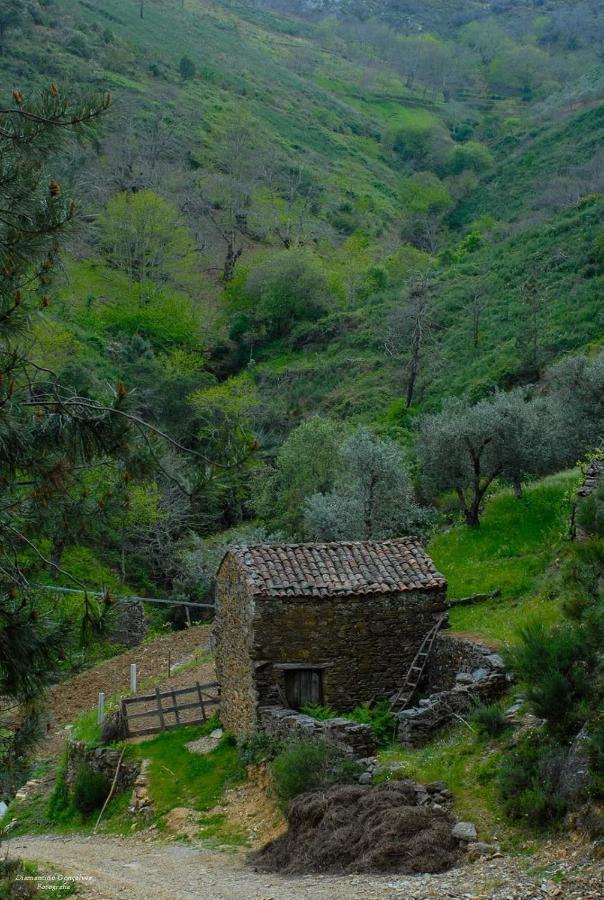 Villa Casa da Neta Acor  Esterno foto